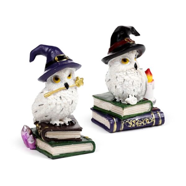 OWL54_001_1744381061 Wise Old Magical Owl - Spell Books