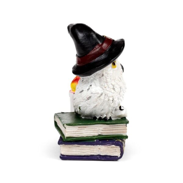 OWL54_006_1744381061 Wise Old Magical Owl - Spell Books