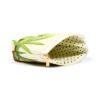 PUR167_007_1746195157 PVC Purse - Tropical Frogs