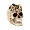 Decorative Ornament - Skull with Spider