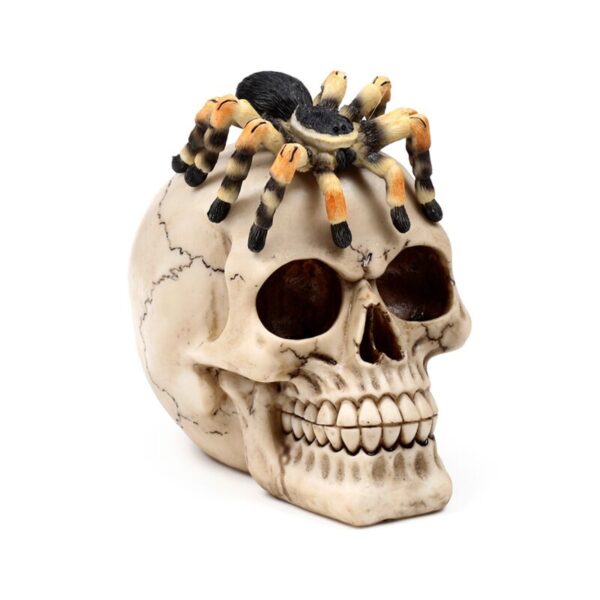 SK411_001_1745579413 Decorative Ornament - Skull with Spider