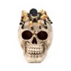 Decorative Ornament - Skull with Spider