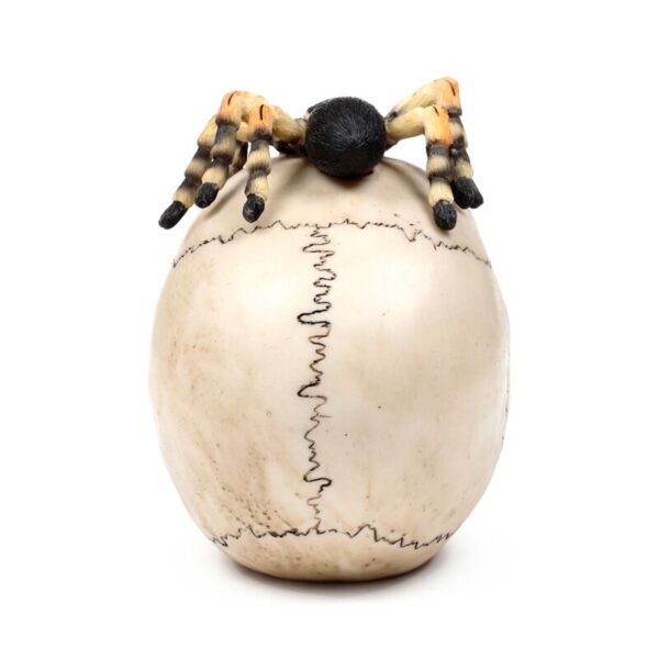 Decorative Ornament - Skull with Spider