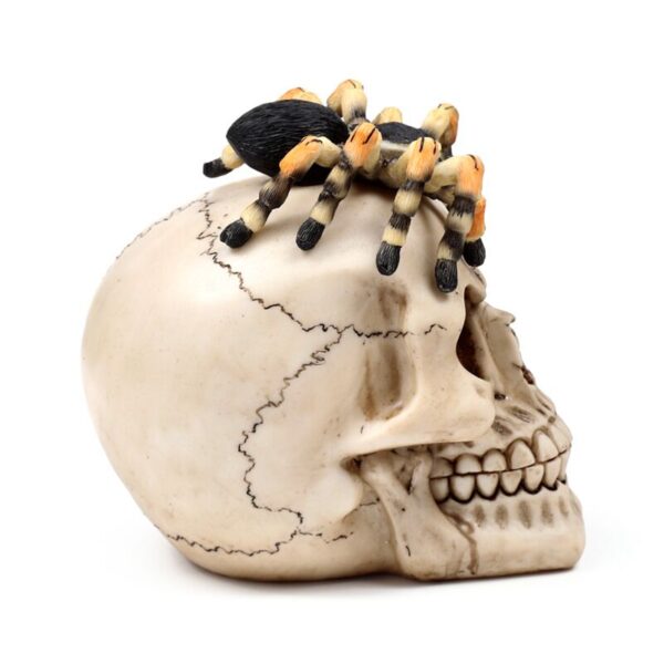 Decorative Ornament - Skull with Spider