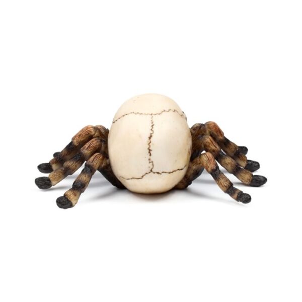 SK415_005_1745579473 Decorative Ornament - Skull with Spider Legs