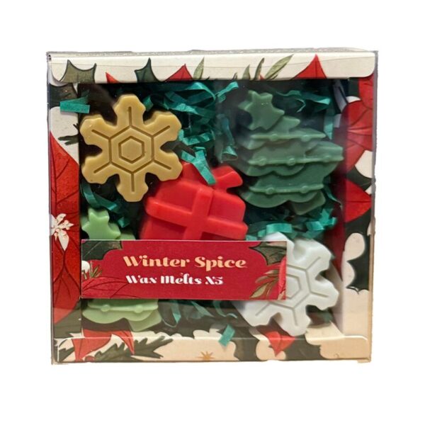XWAX37_001_1742246135 Handmade Wax Melt Set of 5 - Winter Spice Christmas Botanicals