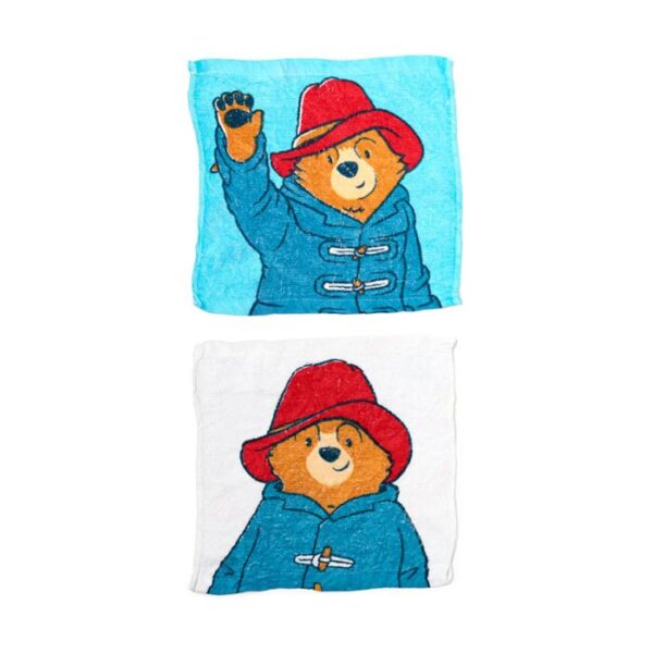 CT30_009_1758119317 Compressed Travel Towel - Paddington Bear