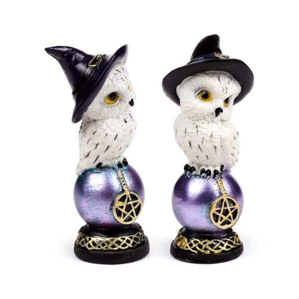 OWL52_001_1744381001 Wise Old Magical Owl - Iridescent Orb