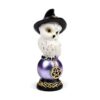 Wise Old Magical Owl - Iridescent Orb