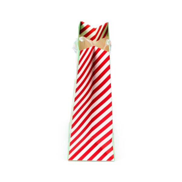 XGBAG127B_004_1758032120 Christmas Gift Bag (Medium) - Christmas Jingle Bunch