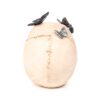 Decorative Ornament - Skull with Metallic Butterflies