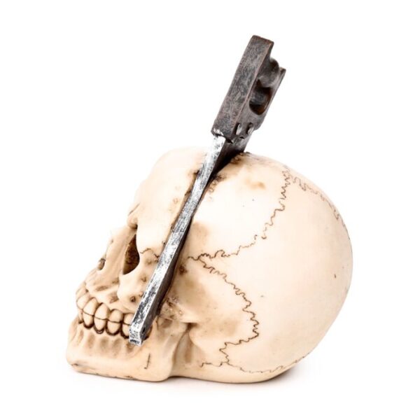 SK812_004_1762259005 Decorative Ornament - Skull with Saw Through Head