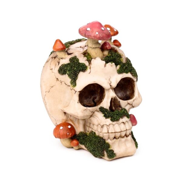 SK815_001_1762259125 Decorative Ornament - Skull with Toadstools & Moss