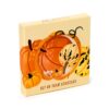 KP80_001_1732550910 Novelty Coasters - Autumn Harvest - Set of 4's