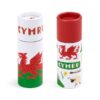 PCASE91_002_1748270391 Colouring Pencil Tube - Welsh Dragon