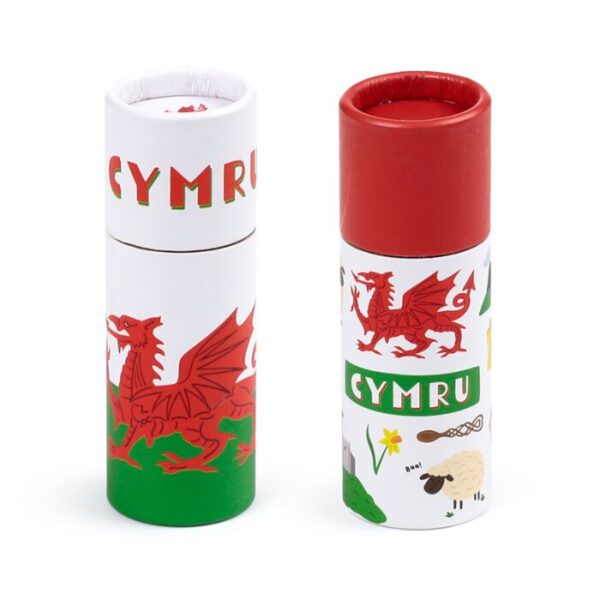 PCASE91_002_1748270391 Colouring Pencil Tube - Welsh Dragon