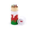 PCASE91_004_1748270391 Colouring Pencil Tube - Welsh Dragon