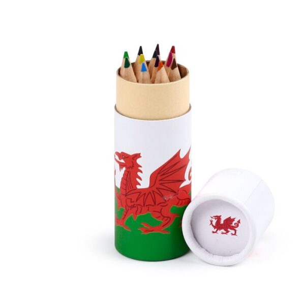 PCASE91_004_1748270391 Colouring Pencil Tube - Welsh Dragon