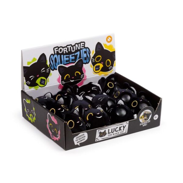 Queasy Squeezies Fidget Toy - Fortune Teller Lucky the Black Cat